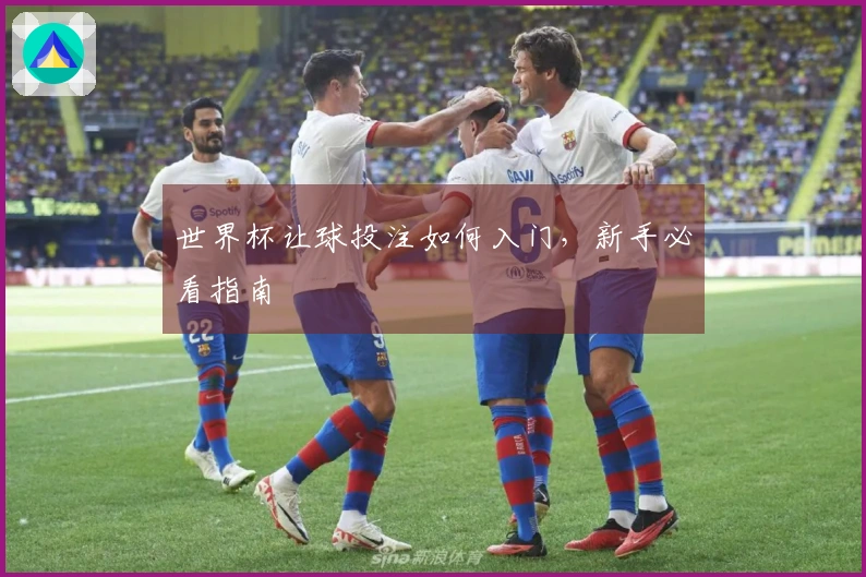 世界杯让球投注如何入门，新手必看指南