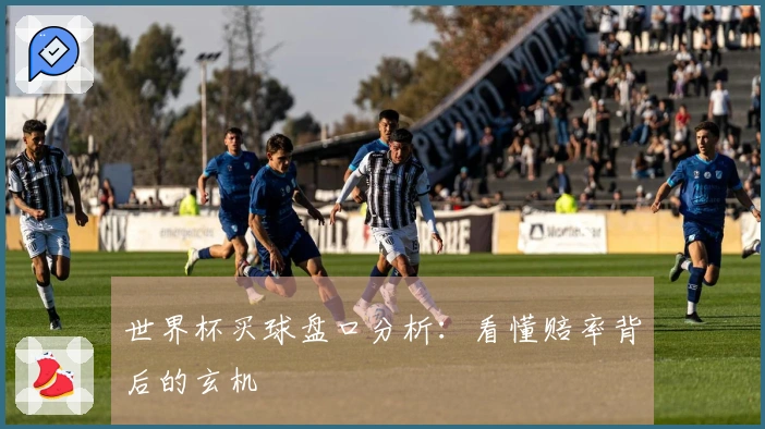 世界杯买球盘口分析：看懂赔率背后的玄机
