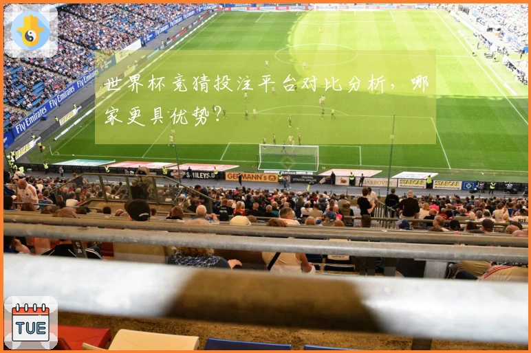 世界杯竞猜投注平台对比分析，哪家更具优势？