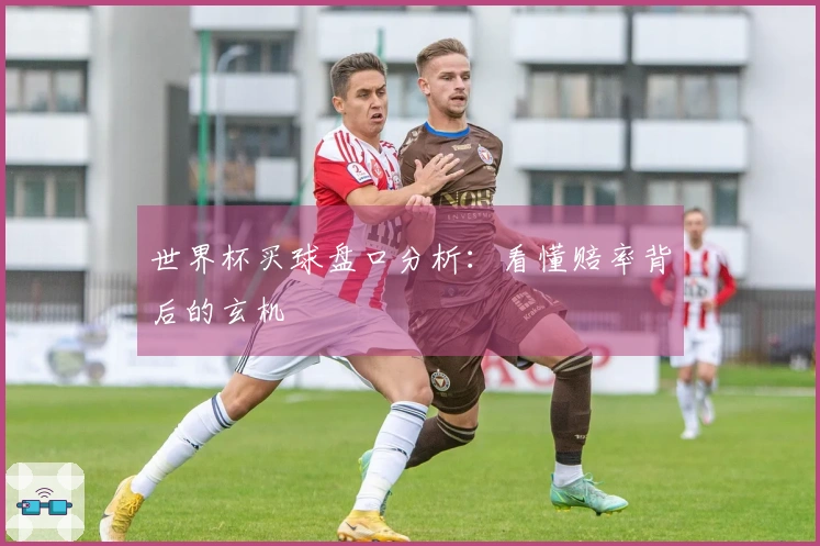 世界杯买球盘口分析：看懂赔率背后的玄机