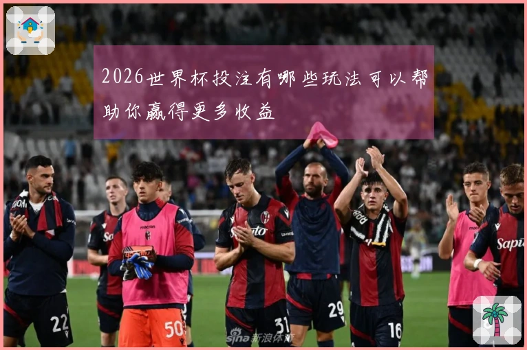 2026世界杯投注有哪些玩法可以帮助你赢得更多收益
