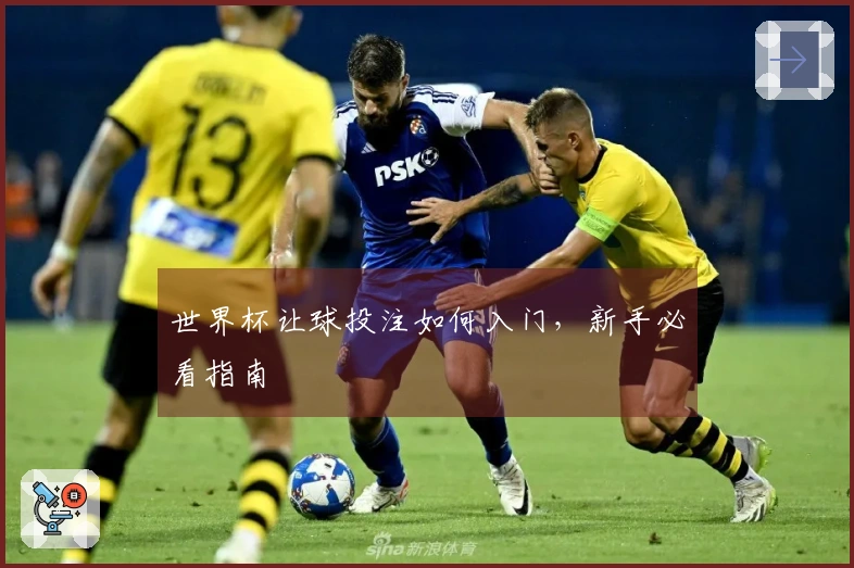 世界杯让球投注如何入门，新手必看指南